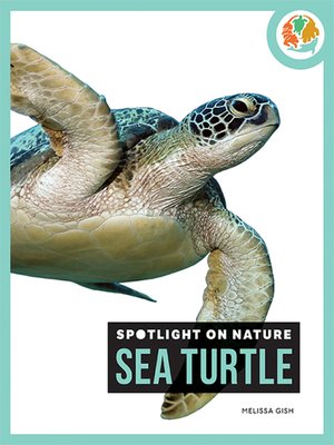 cover image of Sea Turtle